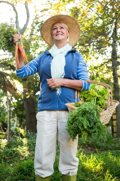 Trädgårdsmästare står med färska grönsaker på garden — Stockfoto