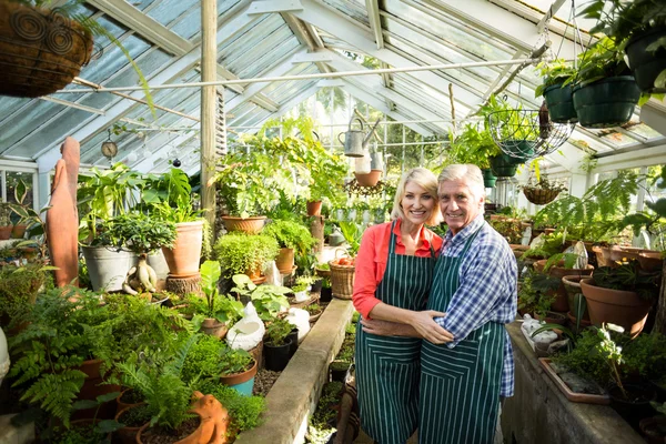 Couple standing amidst plants at greenhouse — Stock Photo, Image