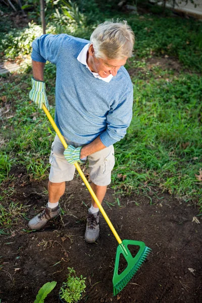 Trädgårdsmästare använda rake på garden — Stockfoto