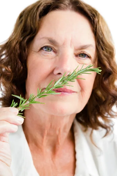 Rijpe vrouw ruiken rozemarijn — Stockfoto