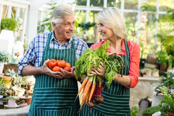 Giardinieri con verdure fresche in serra — Foto Stock