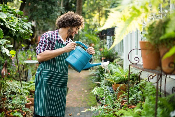 Щасливий садівник поливає рослини — стокове фото