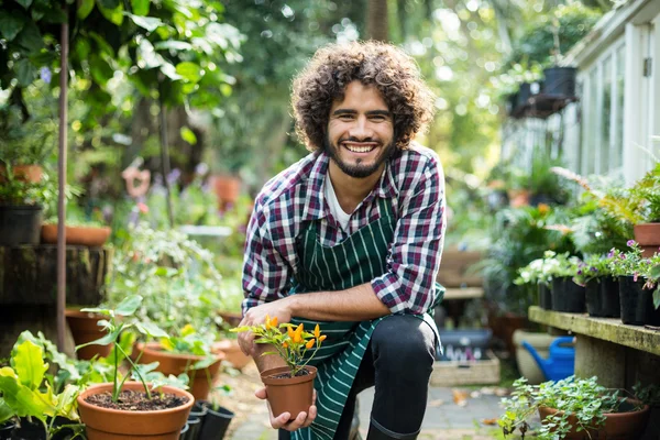 Glimlachend mannelijke tuinman holding ingegoten plant — Stockfoto