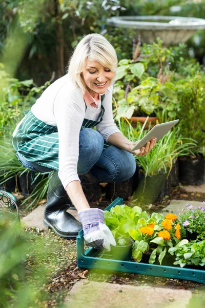 Садовник с помощью планшетного компьютера во время работы — стоковое фото