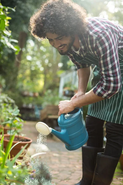 Садовник поливает растения снаружи теплицы — стоковое фото