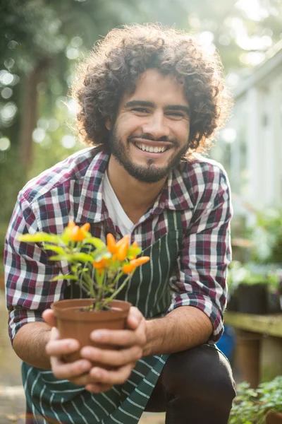 Gardener holding potted plant while kneeling — Stock Photo, Image