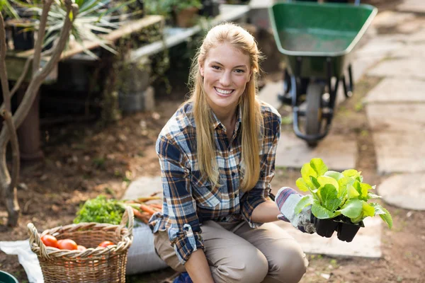 Jardinero femenino sosteniendo el retoño — Foto de Stock