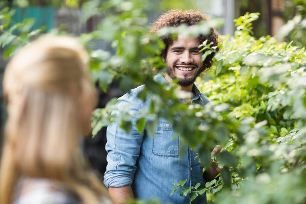 Manliga trädgårdsmästare tittar på kvinna som står vid växter — Stockfoto