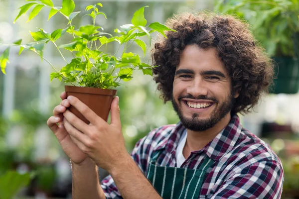 Manliga trädgårdsmästare hålla krukväxt — Stockfoto