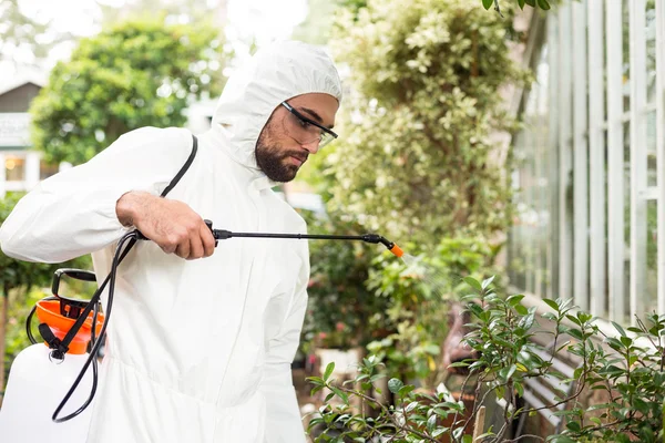 Homme scientifique pulvérisation de pesticides sur les plantes — Photo