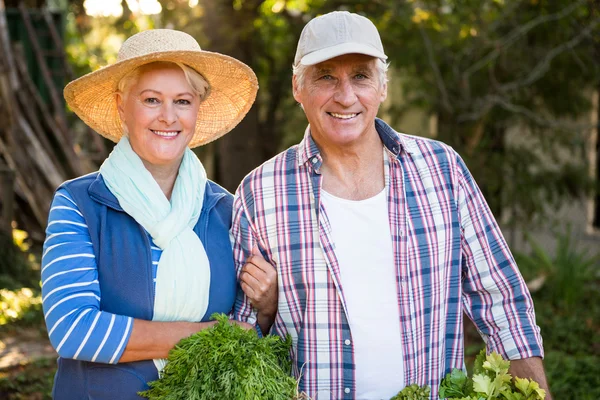 Couple with vegetables at garden Stock Picture