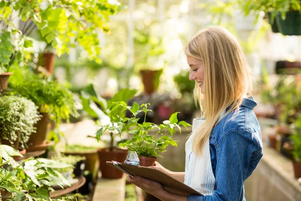 Kvinnlig trädgårdsmästare undersöka växter — Stockfoto
