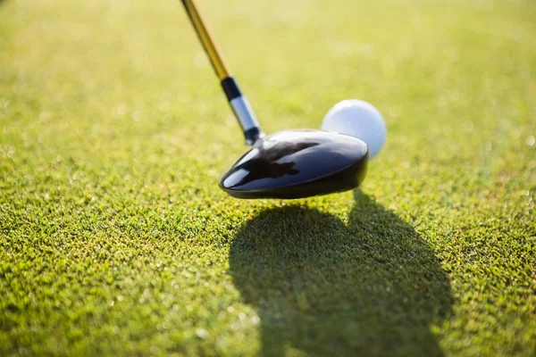 Pelota de golf y club — Foto de Stock