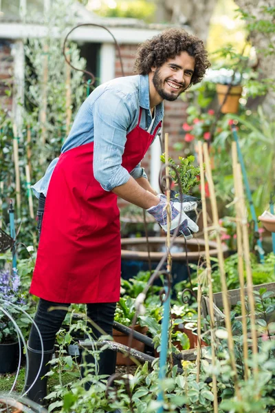 Jardinero masculino que trabaja fuera del invernadero — Foto de Stock