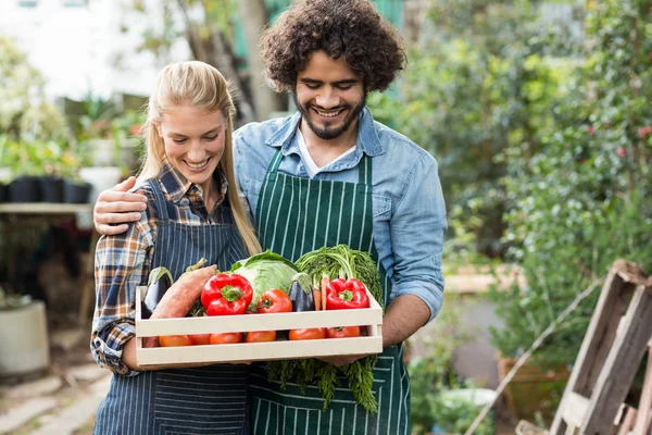 Casal sorrindo segurando caixa de legumes — Fotografia de Stock