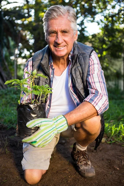 Jardinero arrodillado con maceta en el jardín — Foto de Stock