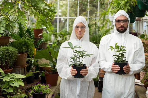 Wissenschaftler im sauberen Anzug mit Topfpflanzen — Stockfoto