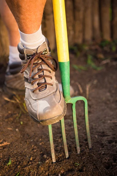 Gardener stepping on fork at garden — Stock Photo, Image