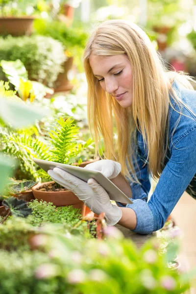 Tuinman met behulp van digitale tablet terwijl u werkt — Stockfoto