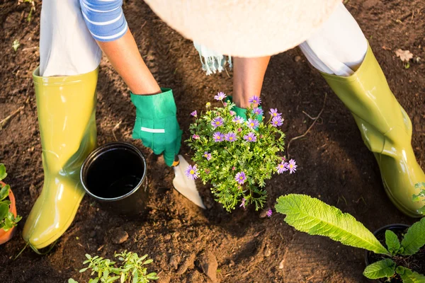 Giardiniere con spatola per piantare in giardino — Foto Stock