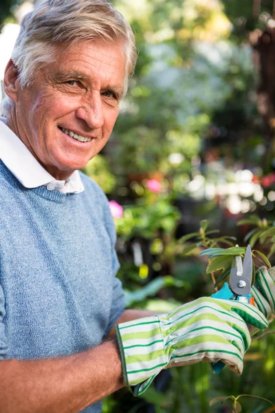 Arbetaren beskärning kvistar på garden — Stockfoto