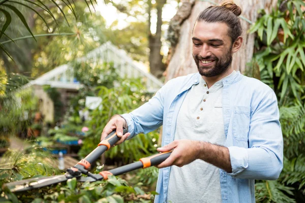 Jardineiro usando cortadores de sebes no jardim — Fotografia de Stock