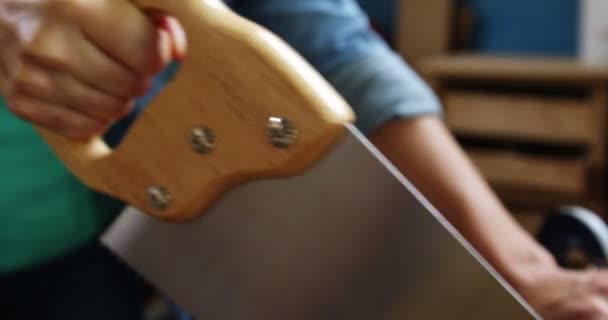 Carpintero lijando una tabla de madera — Vídeos de Stock