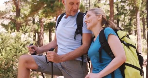 Caminhante casal de pé com caminhadas pólos — Vídeo de Stock