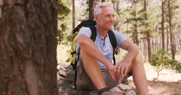 Randonneur assis dans la forêt — Video