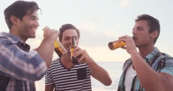 Gli amici brindano con una birra. — Video Stock