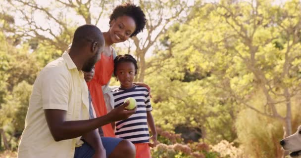 Familie spielt mit Hund im Park — Stockvideo