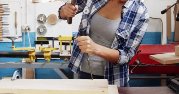 Timmerman werkend op een houten plank — Stockvideo