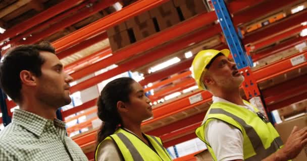 Trabajadores de almacén trabajando juntos — Vídeo de stock