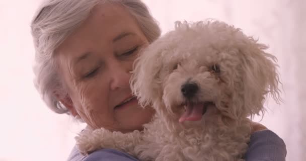 犬を保持している年配の女性 — ストック動画