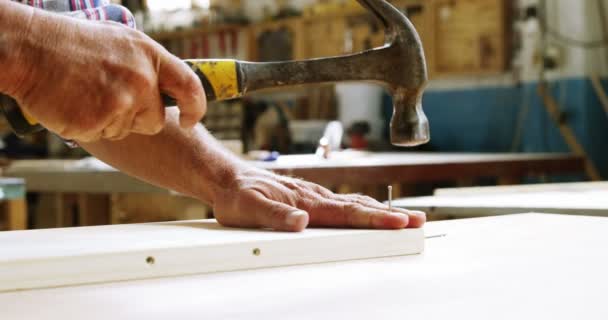 Carpenter hammering in wood plank — Stock Video