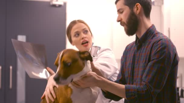 Ветеринар объясняет человеку радио — стоковое видео
