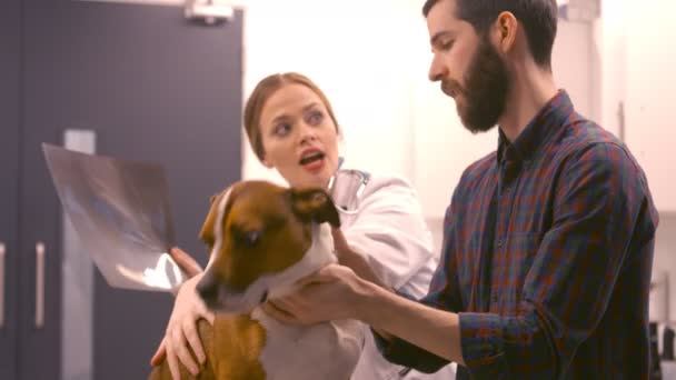 Veterinären förklarade en radio till en man — Stockvideo