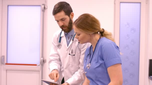 Een dierenarts is het tonen van zijn tablet aan zijn assistent — Stockvideo