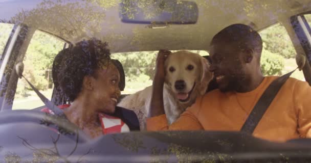 Пара сидит в машине с ним собака — стоковое видео