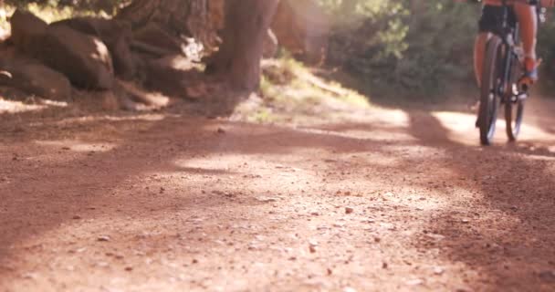 Cycliste vélo à travers la forêt — Video