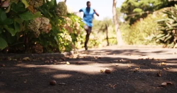 スポーツマンは公園を走っています。 — ストック動画