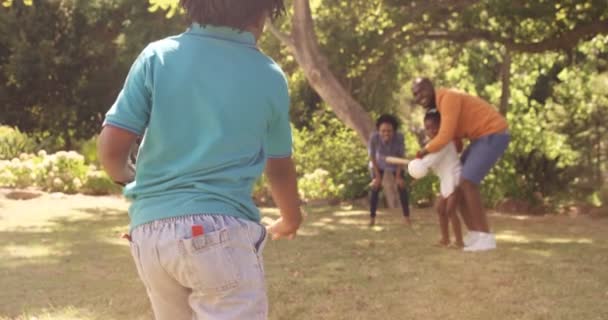 La famille joue au baseball dans un parc — Video