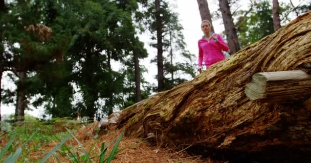 Couple sautant par-dessus un tronc d'arbre — Video