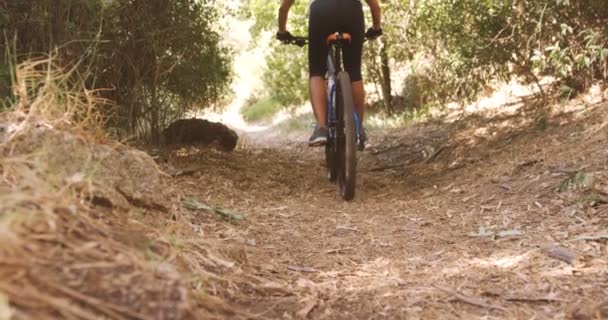 Ciclista en bicicleta a través del bosque — Vídeos de Stock