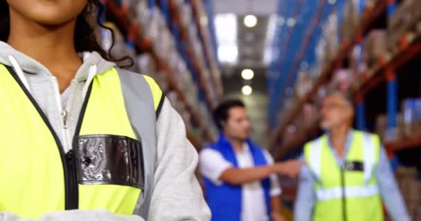 Trabalhadores do armazém a trabalhar em conjunto — Vídeo de Stock