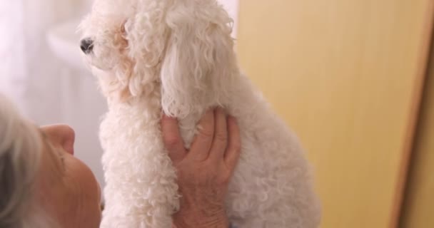 Wanita senior memegang anjing — Stok Video