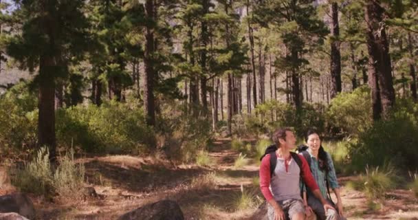 Casal procurando em algum lugar — Vídeo de Stock