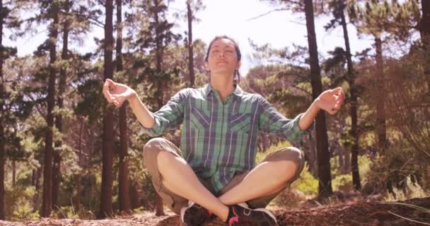 Donna sta facendo yoga nella foresta — Video Stock