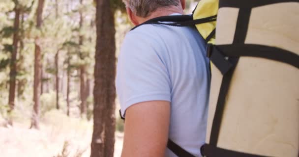 Caminhante casal caminhando através da floresta — Vídeo de Stock