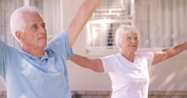 Couple aîné effectuant un yoga — Video